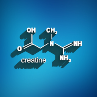Creatine 101 - What is Creatine and How Does it Work?