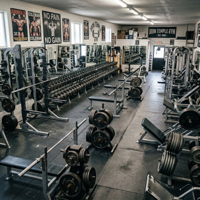 Huperzine A Locks In Mind-Muscle Connection